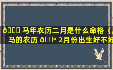 🐘 马年农历二月是什么命格（属马的农历 🌺 2月份出生好不好）